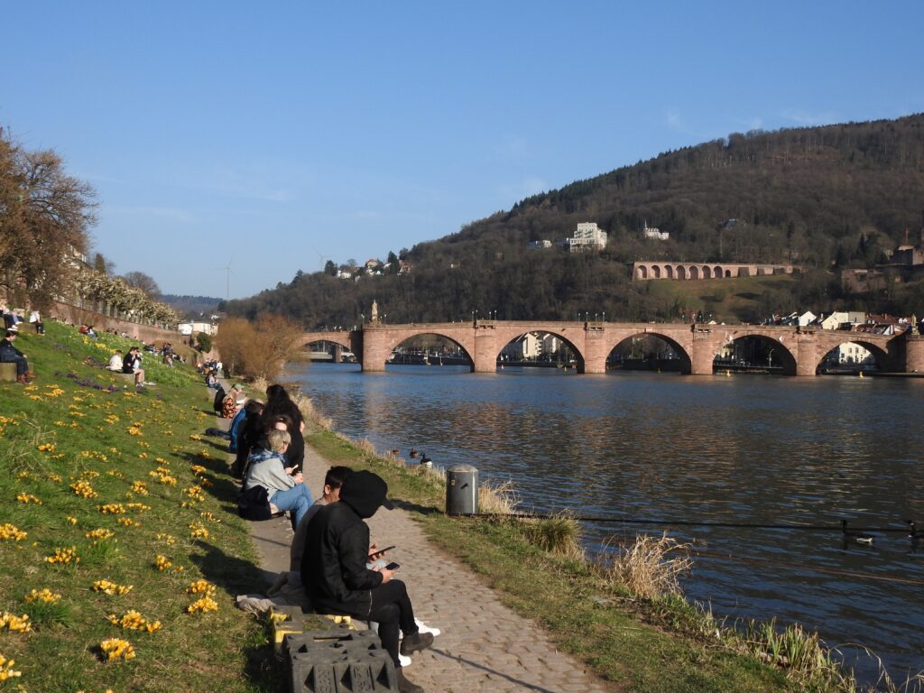 neckarwiese 4 (4) web