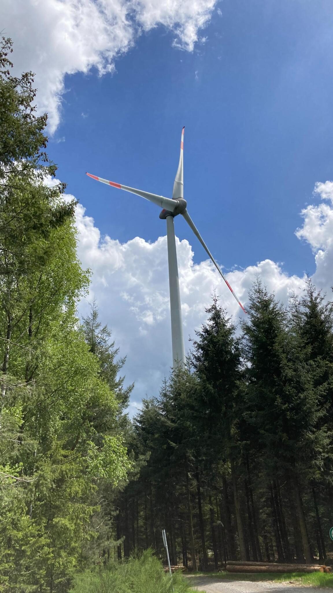 Windrad im Wald