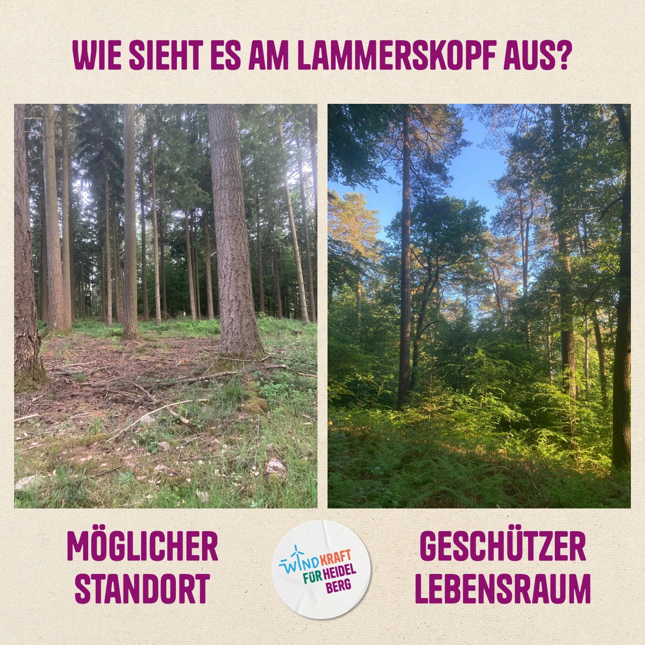 aussehen