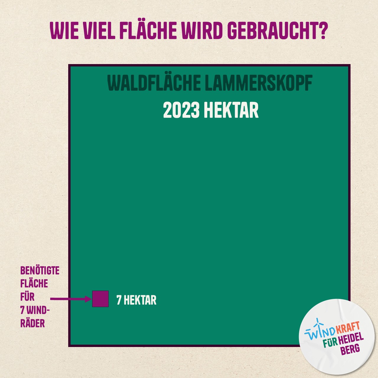 fläche